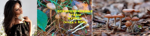 а пвп мука Кукмор