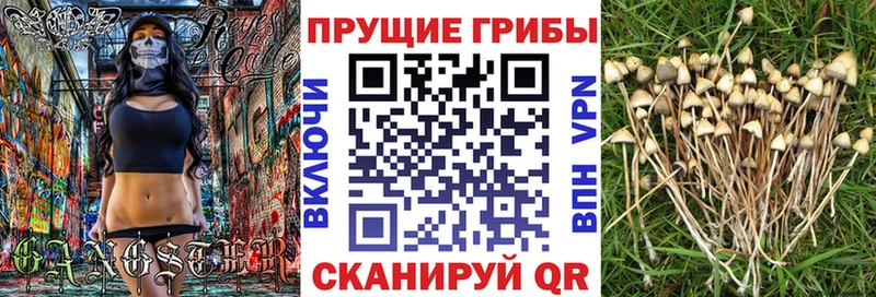 Псилоцибиновые грибы ЛСД  Купить  Кунгур 